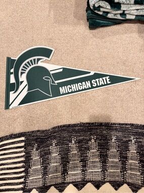 Michigan State Spartans Pennant - Green & White